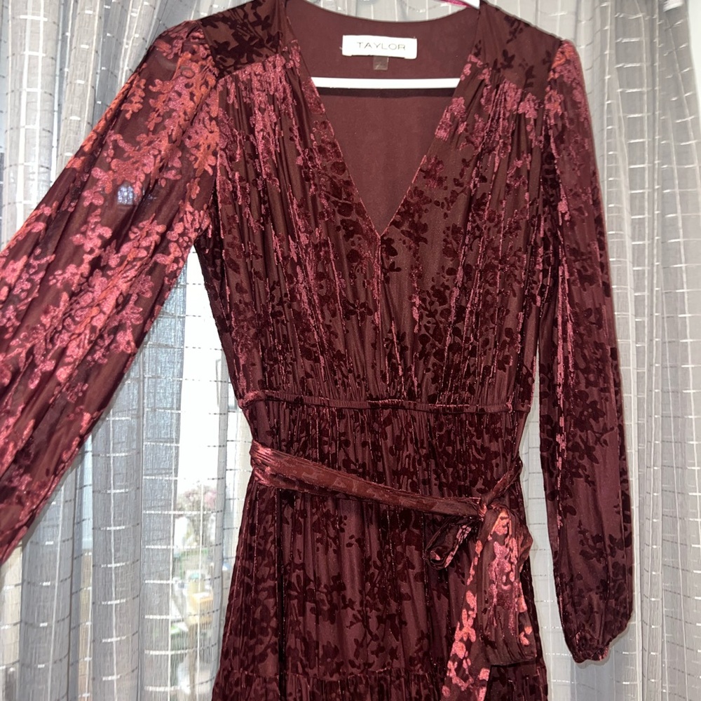 Taylor Maroon Velvet Floral Long Sleeve Dress